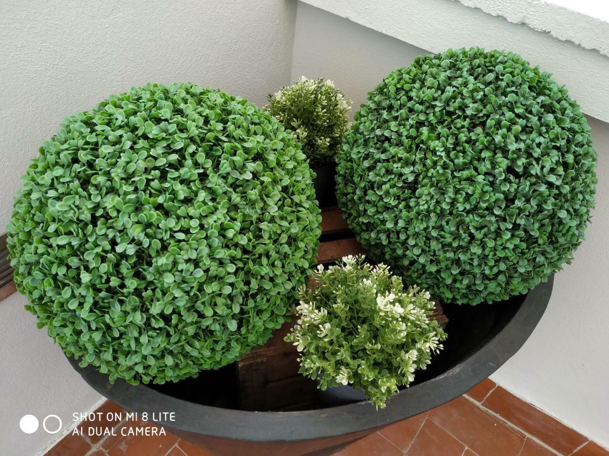 Apartment 12 Carrer Del Bisbe Valencia